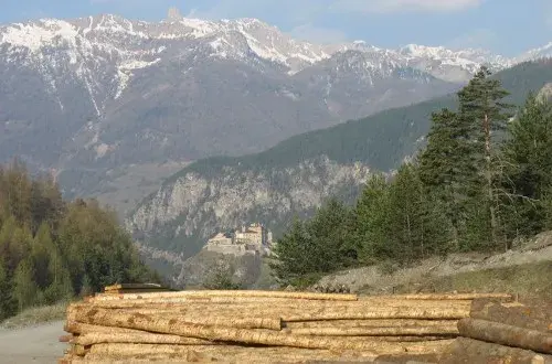 Scierie Queyrassine des Bois
