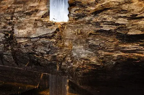 Scierie Résineux  Mondiere Frères