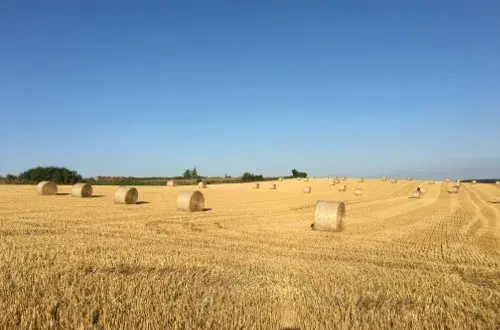 Bois et Scieries de la Noye