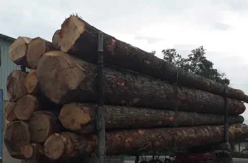 La Scierie du Plateau Entreprise vente et livraison bois de chauffage Exploitation forestière Isère 38