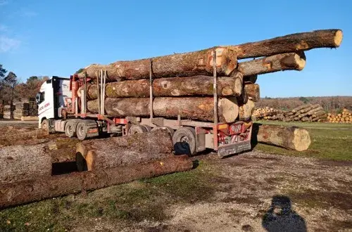 Industrie du Bois de