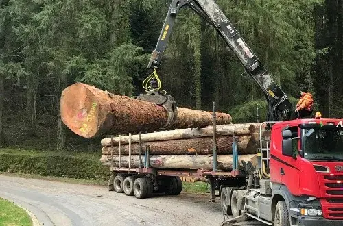 Vignon Bois
